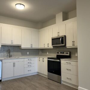 Sponge White Modern Series Cabinets